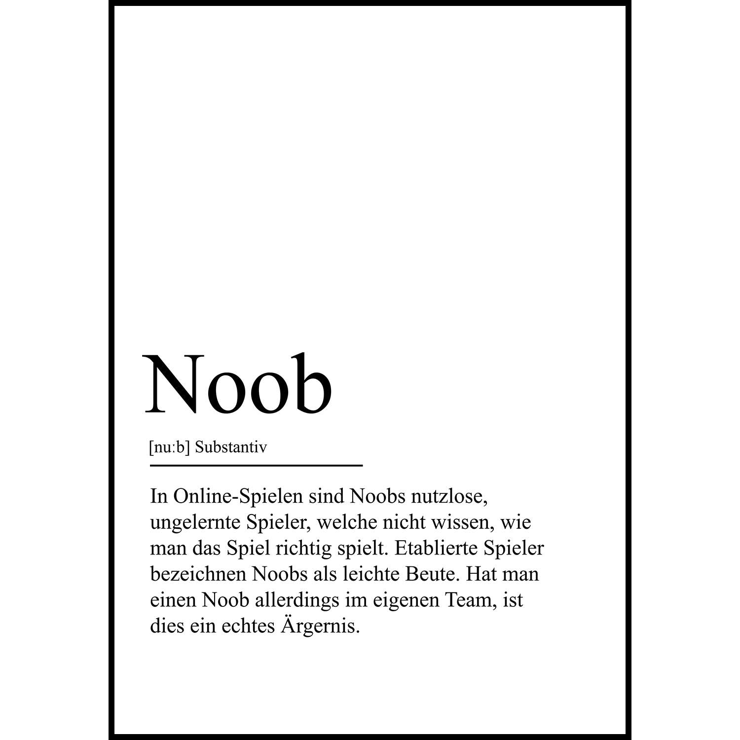Noob Definition