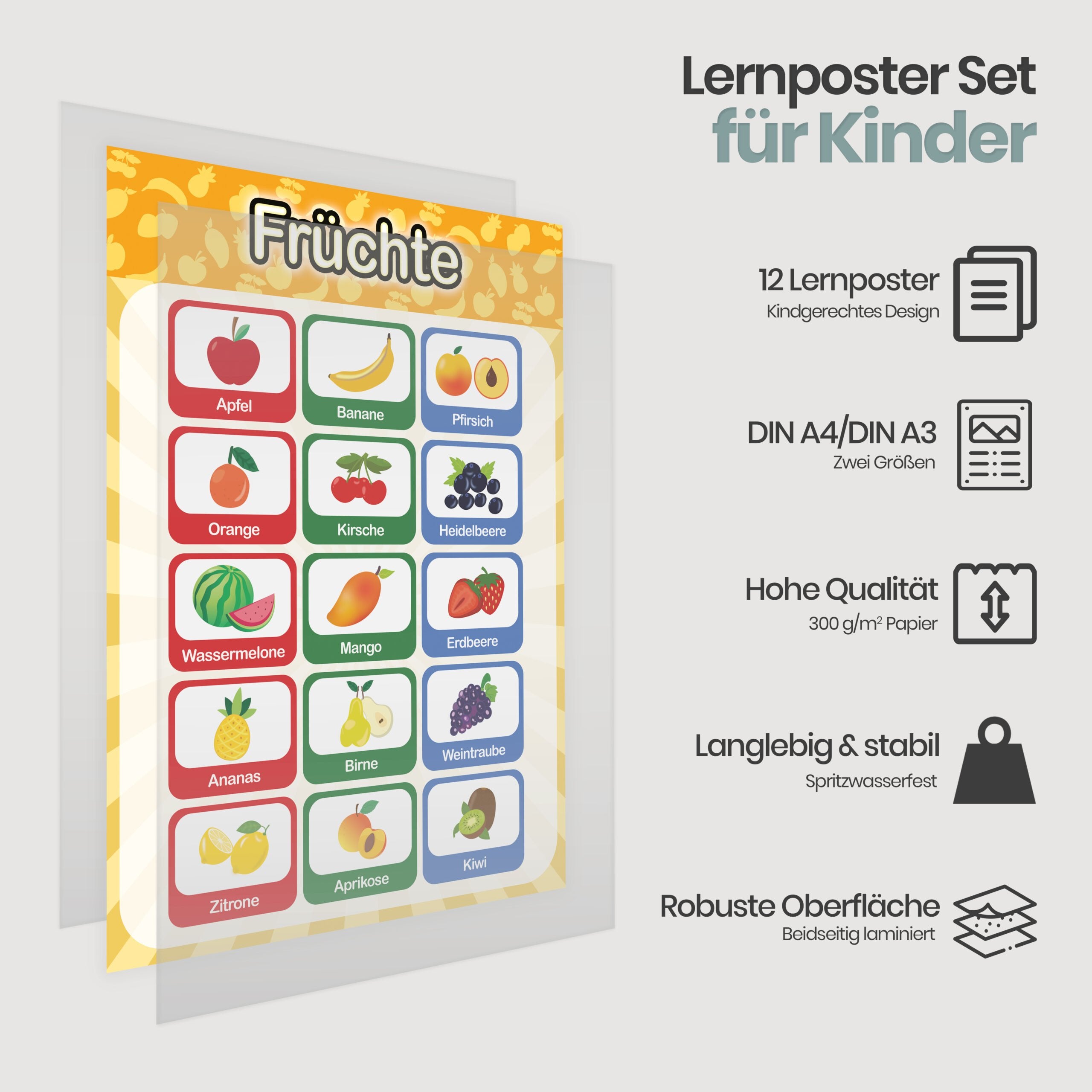 LIKARTO® 12 pädagogische Lernposter - Grundlagen 2